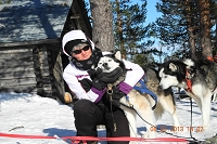 Huskies Erleben